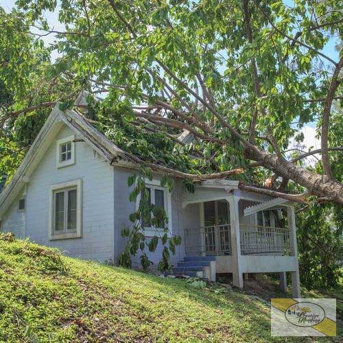 fallen tree on house oklahoma